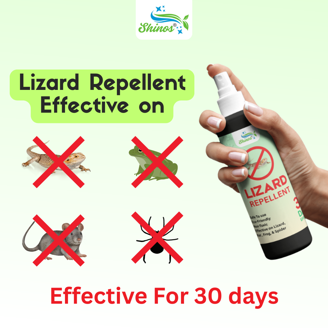Lizard Repellent Spray | Buy 1 Get 2 Free | 🔥